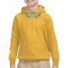 Youth Heavy Blend™ Hooded Sweatshirt Thumbnail