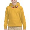 Youth Heavy Blend™ Hooded Sweatshirt Thumbnail