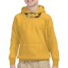 Youth Heavy Blend™ Hooded Sweatshirt Thumbnail
