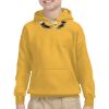 Youth Heavy Blend™ Hooded Sweatshirt Thumbnail