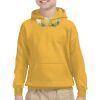 Youth Heavy Blend™ Hooded Sweatshirt Thumbnail