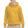 Youth Heavy Blend™ Hooded Sweatshirt Thumbnail
